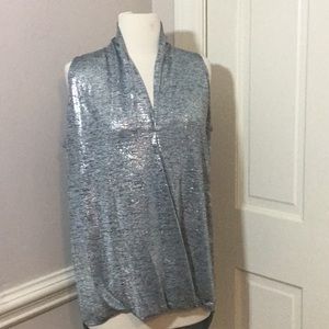 Dantelle shimmering silver and gray Blouse size Large